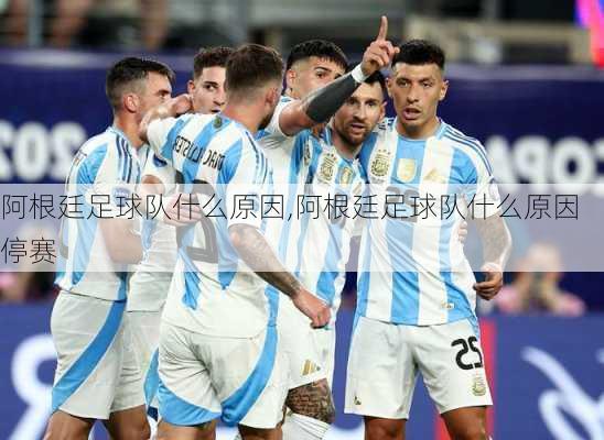 阿根廷足球队什么原因,阿根廷足球队什么原因停赛