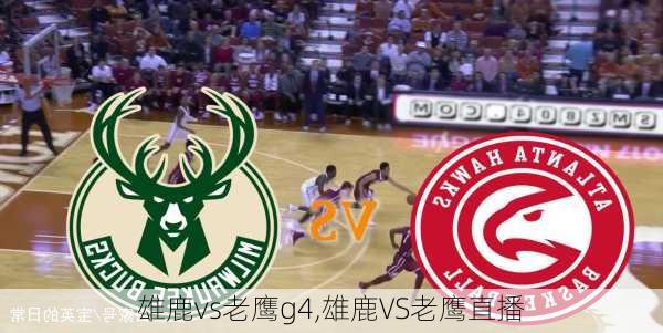 雄鹿vs老鹰g4,雄鹿VS老鹰直播