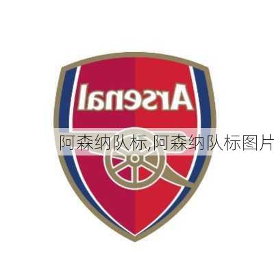 阿森纳队标,阿森纳队标图片