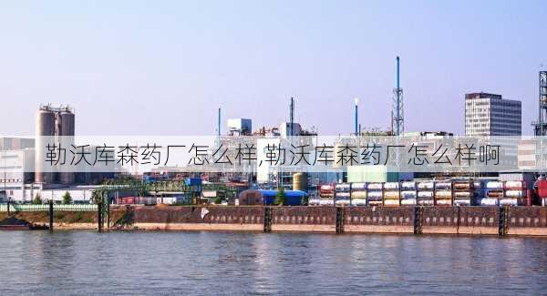 勒沃库森药厂怎么样,勒沃库森药厂怎么样啊