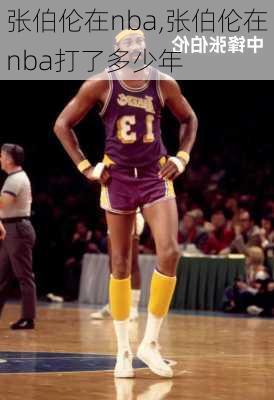 张伯伦在nba,张伯伦在nba打了多少年