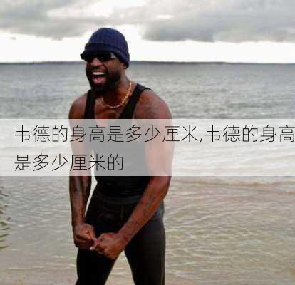 韦德的身高是多少厘米,韦德的身高是多少厘米的