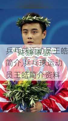 乒乓球运动员王皓简介,乒乓球运动员王皓简介资料