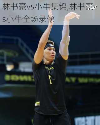林书豪vs小牛集锦,林书豪vs小牛全场录像