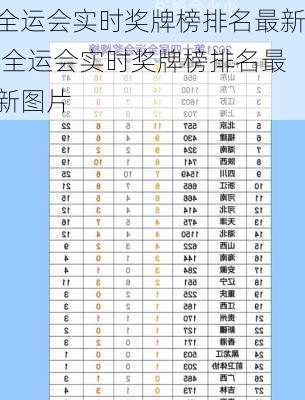 全运会实时奖牌榜排名最新,全运会实时奖牌榜排名最新图片