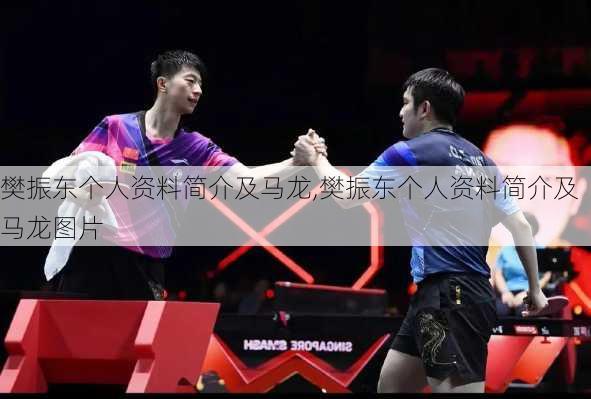 樊振东个人资料简介及马龙,樊振东个人资料简介及马龙图片