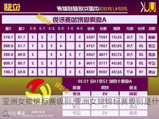 亚洲女排锦标赛级别,亚洲女排锦标赛级别是什么