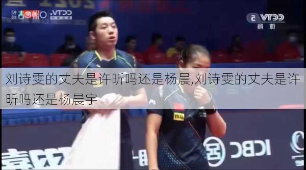 刘诗雯的丈夫是许昕吗还是杨晨,刘诗雯的丈夫是许昕吗还是杨晨宇