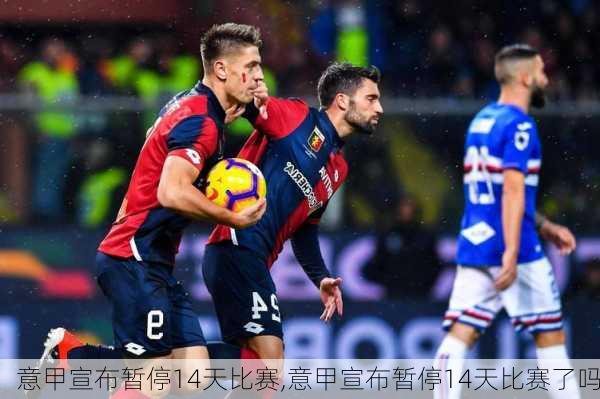 意甲宣布暂停14天比赛,意甲宣布暂停14天比赛了吗