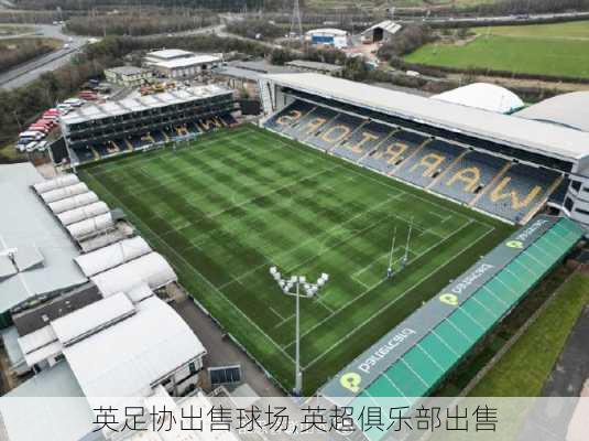 英足协出售球场,英超俱乐部出售