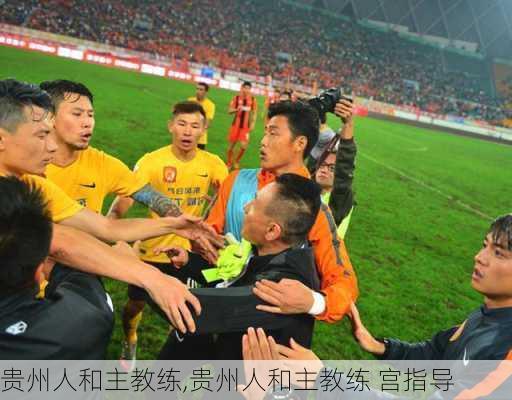 贵州人和主教练,贵州人和主教练 宫指导