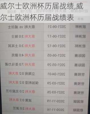 威尔士欧洲杯历届战绩,威尔士欧洲杯历届战绩表