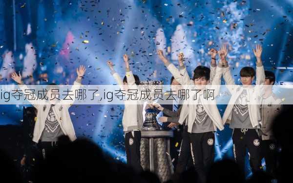 ig夺冠成员去哪了,ig夺冠成员去哪了啊