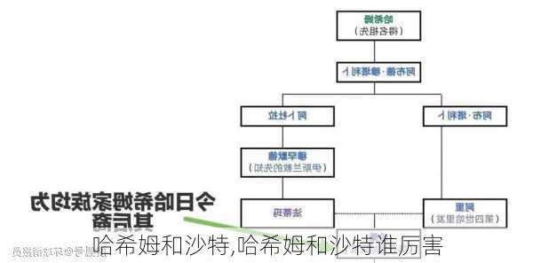 哈希姆和沙特,哈希姆和沙特谁厉害