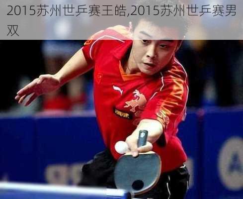 2015苏州世乒赛王皓,2015苏州世乒赛男双