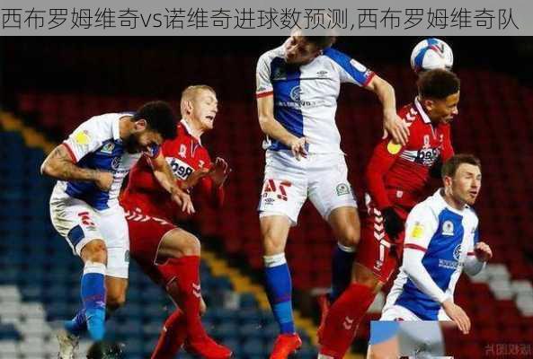 西布罗姆维奇vs诺维奇进球数预测,西布罗姆维奇队