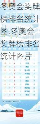 冬奥会奖牌榜排名统计图,冬奥会奖牌榜排名统计图片