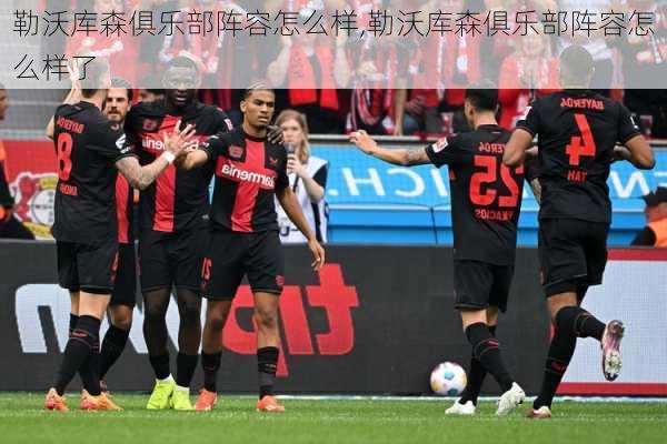 勒沃库森俱乐部阵容怎么样,勒沃库森俱乐部阵容怎么样了