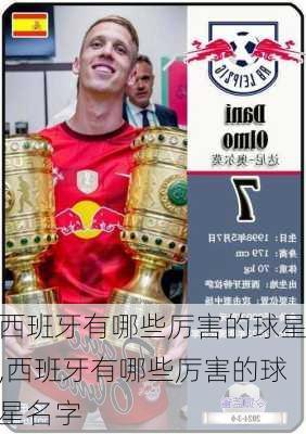 西班牙有哪些厉害的球星,西班牙有哪些厉害的球星名字
