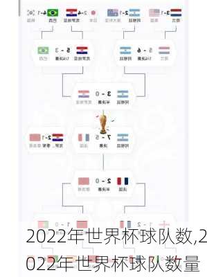 2022年世界杯球队数,2022年世界杯球队数量