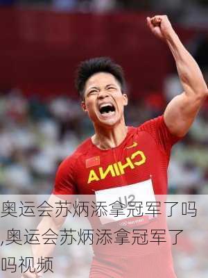奥运会苏炳添拿冠军了吗,奥运会苏炳添拿冠军了吗视频