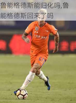 鲁能格德斯能归化吗,鲁能格德斯回来了吗