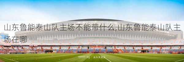 山东鲁能泰山队主场不能带什么,山东鲁能泰山队主场在哪