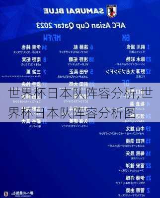 世界杯日本队阵容分析,世界杯日本队阵容分析图