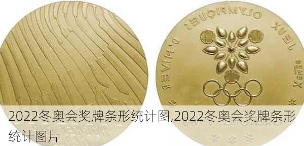 2022冬奥会奖牌条形统计图,2022冬奥会奖牌条形统计图片