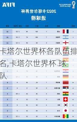 卡塔尔世界杯各队伍排名,卡塔尔世界杯 球队