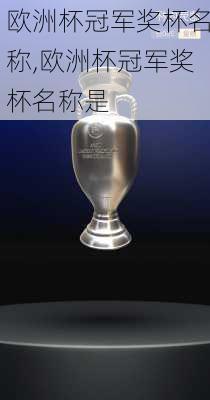 欧洲杯冠军奖杯名称,欧洲杯冠军奖杯名称是