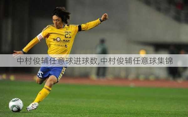 中村俊辅任意球进球数,中村俊辅任意球集锦