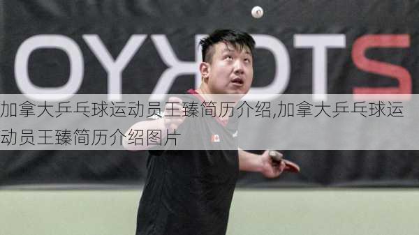 加拿大乒乓球运动员王臻简历介绍,加拿大乒乓球运动员王臻简历介绍图片
