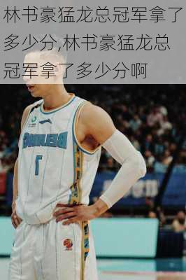 林书豪猛龙总冠军拿了多少分,林书豪猛龙总冠军拿了多少分啊