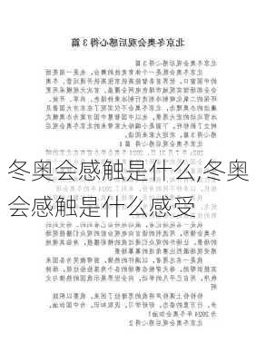 冬奥会感触是什么,冬奥会感触是什么感受