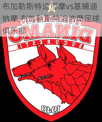 布加勒斯特迪那摩vs基辅迪纳摩,布加勒斯特迪纳摩足球俱乐部