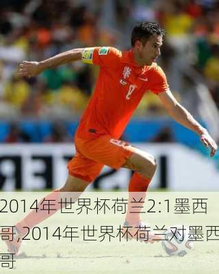 2014年世界杯荷兰2:1墨西哥,2014年世界杯荷兰对墨西哥