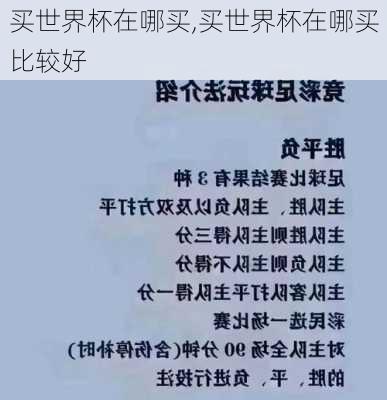 买世界杯在哪买,买世界杯在哪买比较好