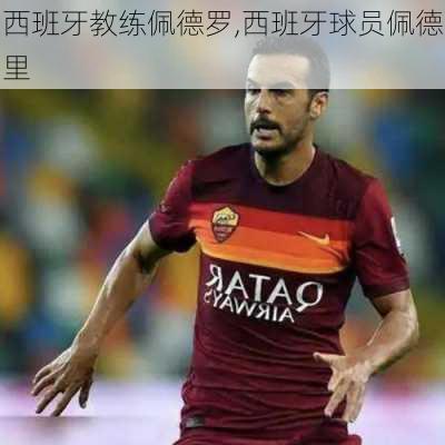 西班牙教练佩德罗,西班牙球员佩德里