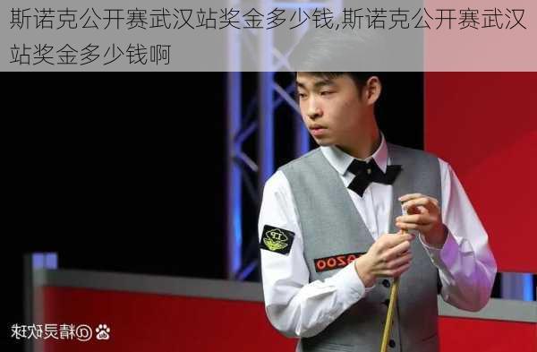 斯诺克公开赛武汉站奖金多少钱,斯诺克公开赛武汉站奖金多少钱啊