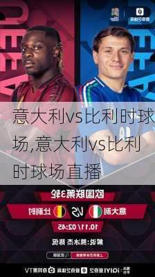 意大利vs比利时球场,意大利vs比利时球场直播