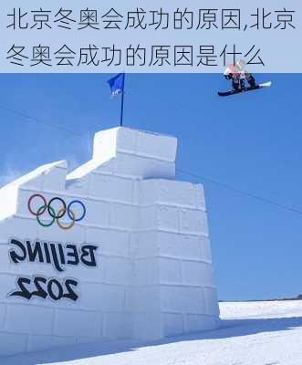 北京冬奥会成功的原因,北京冬奥会成功的原因是什么