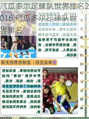 厄瓜多尔足球队世界排名2016,厄瓜多尔足球队世界排名