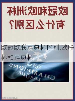 欧冠欧联足总杯区别,欧联杯和足总杯