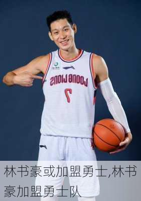 林书豪或加盟勇士,林书豪加盟勇士队