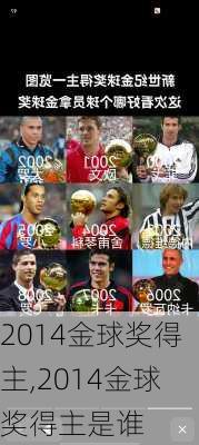 2014金球奖得主,2014金球奖得主是谁