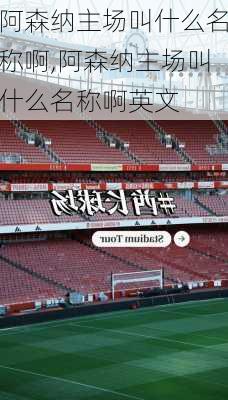 阿森纳主场叫什么名称啊,阿森纳主场叫什么名称啊英文
