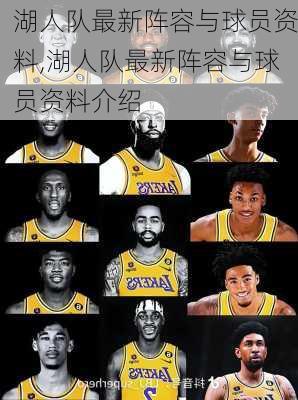 湖人队最新阵容与球员资料,湖人队最新阵容与球员资料介绍