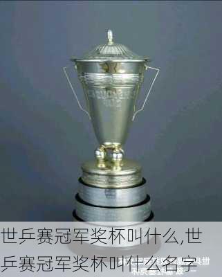 世乒赛冠军奖杯叫什么,世乒赛冠军奖杯叫什么名字