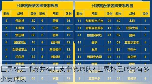 世界杯足球赛共有几支参赛球队?,世界杯足球赛有多少支球队